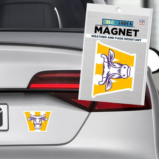 Williams College 4 x 4 Magnet