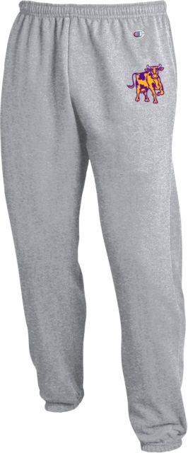 Williams College Champion Banded Bottom Sweatpants Ephelia - ONLINE ONLY