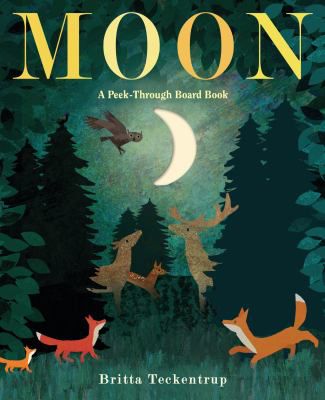 MOON: A PEEK-THROUGH BOARD BK