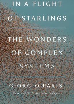 IN A FLIGHT OF STARLINGS