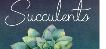 SUCCULENTS MAGNET SET