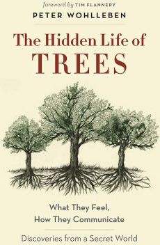 HIDDEN LIFE OF TREES